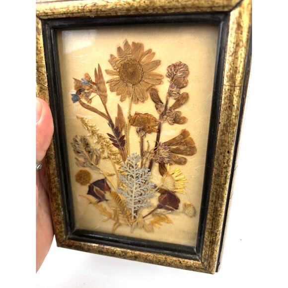 Vintage Signed Dried Pressed Flower Artwork in Glass Frame Botanical Decor 80's - Picture 12 of 12